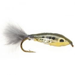 Janssen's Minnow   Shad