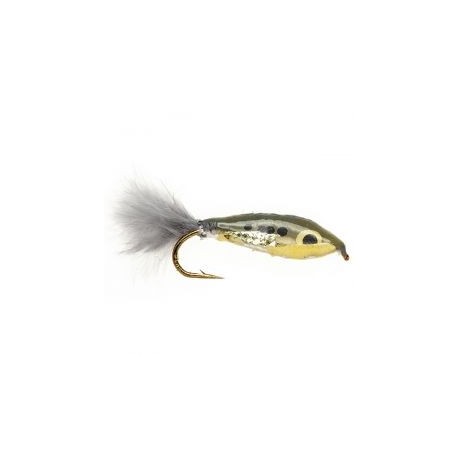 Janssen's Minnow   Shad