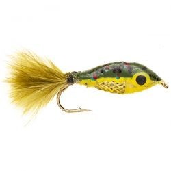 Janssen's Minnow   Brook Trout
