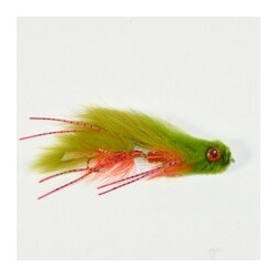Dred Head   Olive