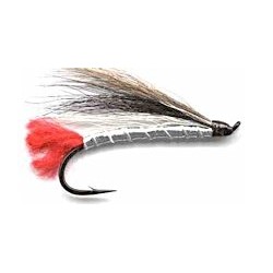 black nosed dace button