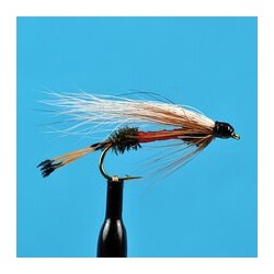Royal Coachman Streamer
