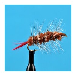 Woolly Worm  Brown