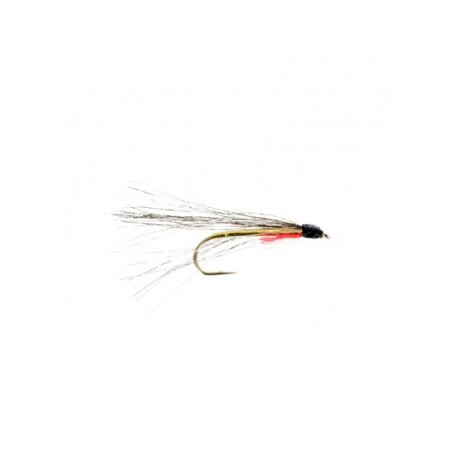 flathead minnow
