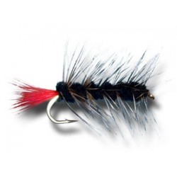 Woolly Worm Black