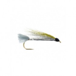 shiner grey olive