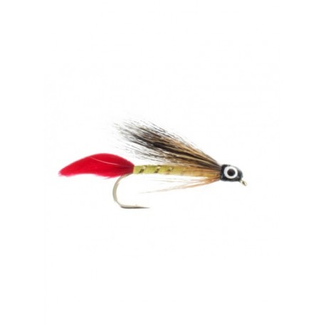 professor bucktail