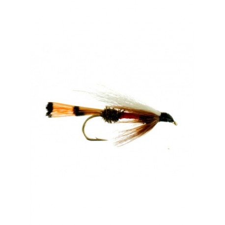 royal coachman bucktail
