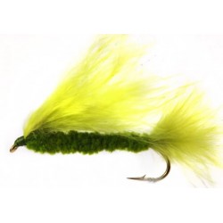 Cats Whisker Olive