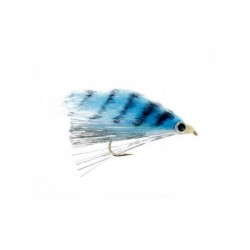 hot flash minnow shad
