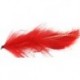 Bunny Leech Red