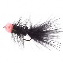 Leech Egg Sucking Black