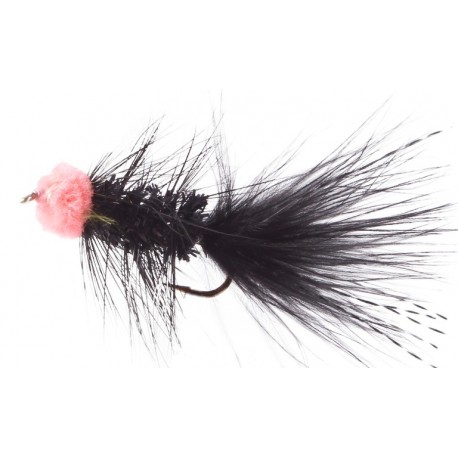 Leech Egg Sucking Black