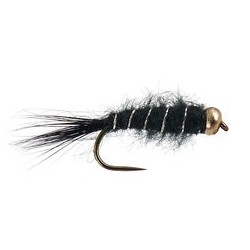 Black Basic BH Nymph BL