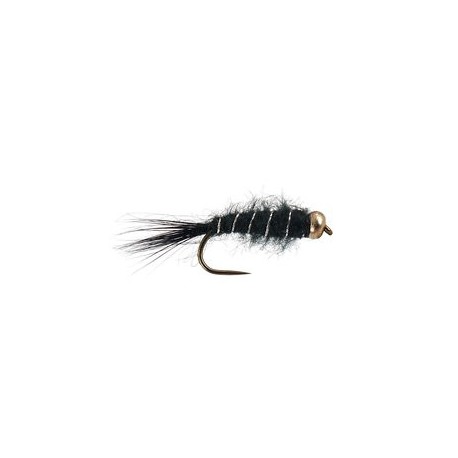 Black Basic BH Nymph BL
