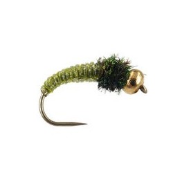 Caddis Larva Olive BL