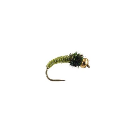 Caddis Larva Olive BL