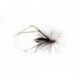 Black Daddy Long Legs Parachute