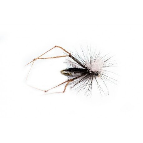 Black Daddy Long Legs Parachute