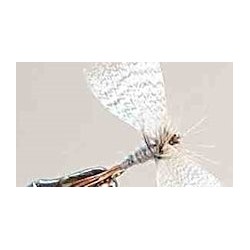 blue dun mayfly