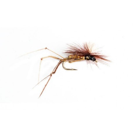 Claret Daddy Long Legs Parachute