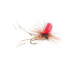 Claret Daddy Long Legs Parachute