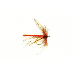 Dad's Daddy Orange Fluorescent