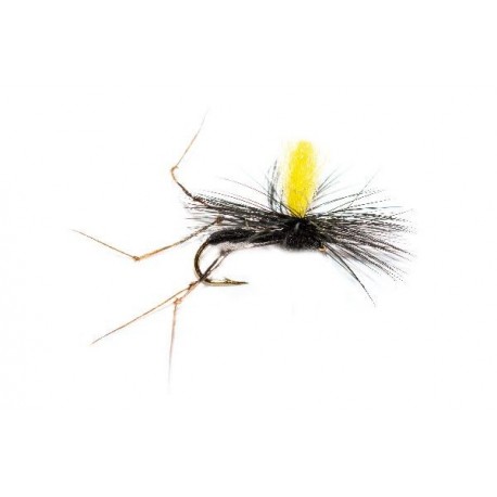 Daddy (Gold Nugget)