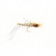 Daddy Long Legs Black Parachute Yellow Hotspot