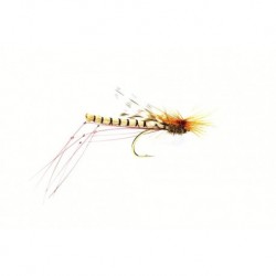 Daddy Long Legs Black Parachute Yellow Hotspot