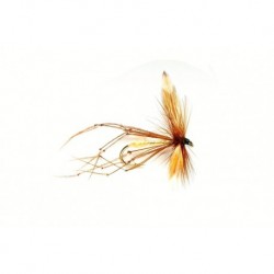Daddy Long Legs Orange Parachuteed Hotspot