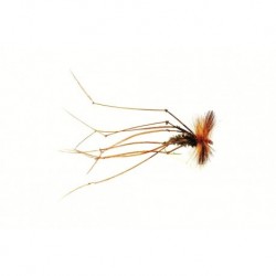 Daddy Long Legs Orange Parachuteed Hotspot