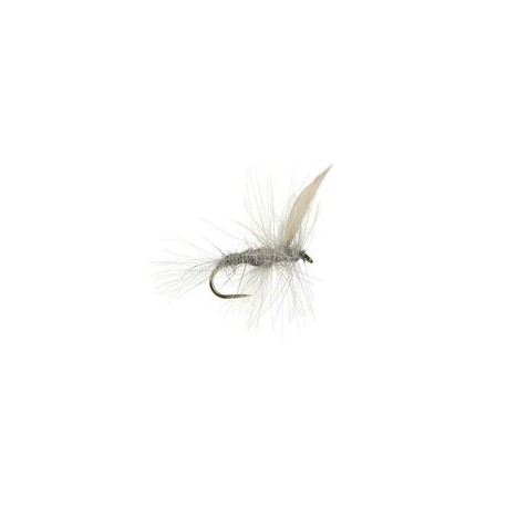CDC Blue Dun BL