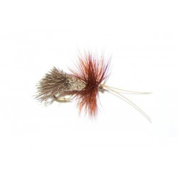 goddard caddis sedge horned eyeight