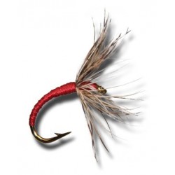 Tenkara Shinpuru Kebaried