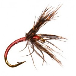 Tenkara Shinpuru Kebariust