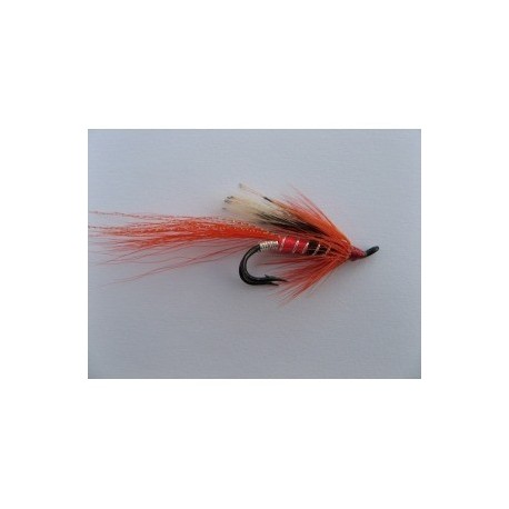 ally shrimp twinkle double