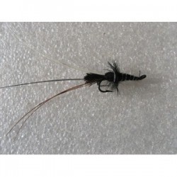 black francis double