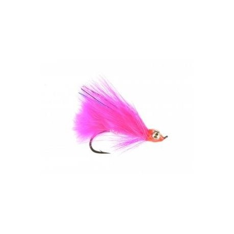 Coho Comet