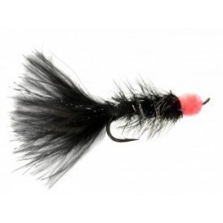 egg sucking leech purple