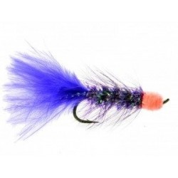 egg sucking leech purple