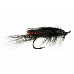 General Practitioner Orange