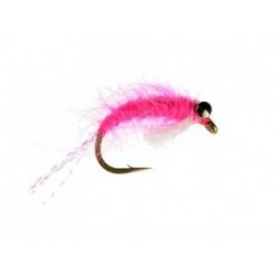 Sockeye Shrimp Pink