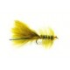 Blue Gold Nugget Damsel