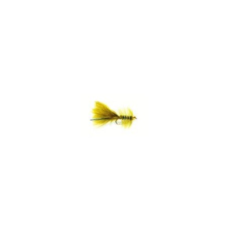 Blue Gold Nugget Damsel
