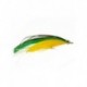 blue water baitfish green and yellow