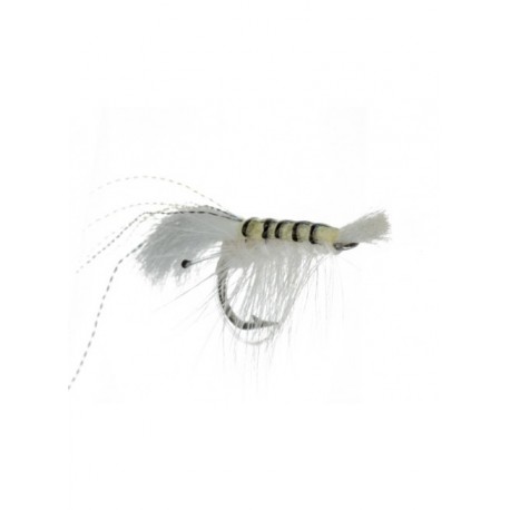 bonefish cocktail shrimp white