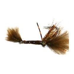 brown epoxy shrimp