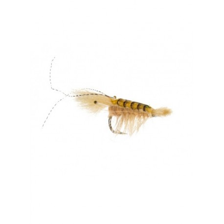 cocktail shrimp tan