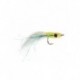 glass minnow